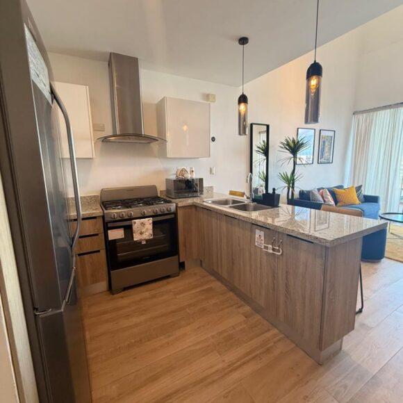 photo_4958550713038474150_y 580x580